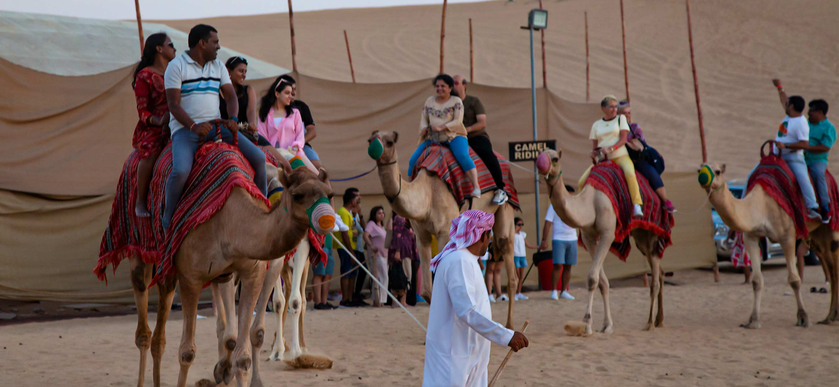 Evening Desert Safari 