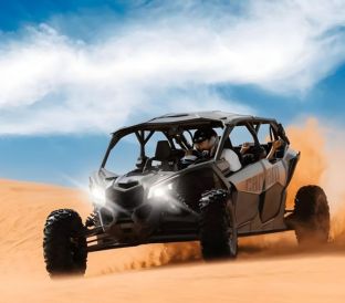 Canam Buggy